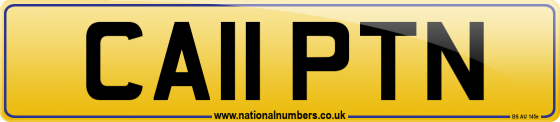 CA11 PTN