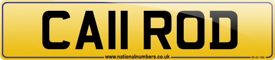 CA11 ROD