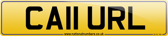 CA11 URL