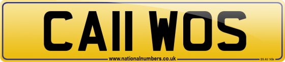 CA11 WOS