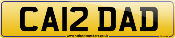 CA12 DAD