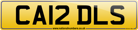 CA12 DLS