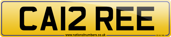 CA12 REE