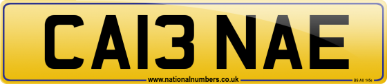 CA13 NAE