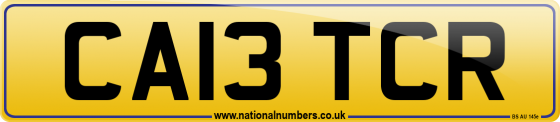CA13 TCR