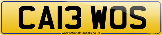 CA13 WOS