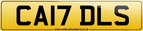 CA17 DLS