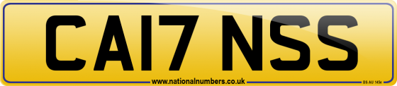 CA17 NSS