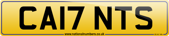 CA17 NTS
