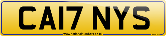 CA17 NYS