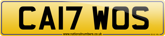 CA17 WOS