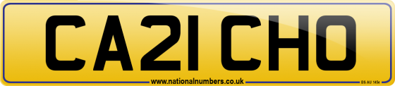CA21 CHO