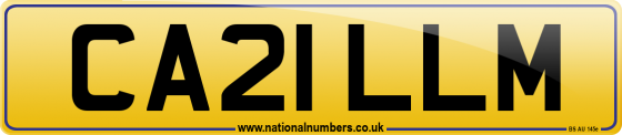 CA21 LLM