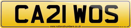 CA21 WOS