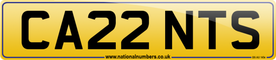 CA22 NTS