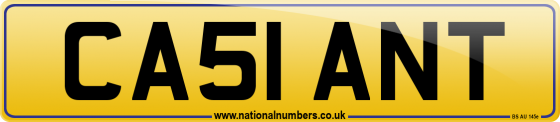 CA51 ANT