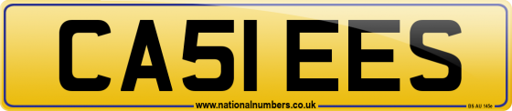 CA51 EES
