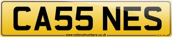 CA55 NES