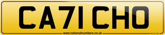 CA71 CHO