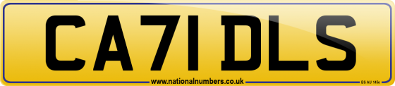 CA71 DLS