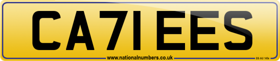 CA71 EES