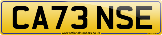 CA73 NSE