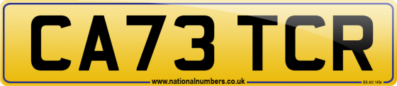 CA73 TCR