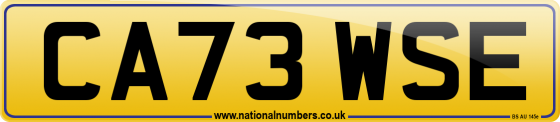 CA73 WSE