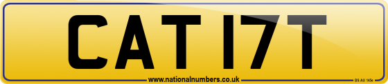 CAT 17T