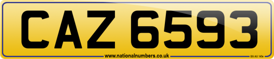 CAZ 6593