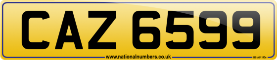 CAZ 6599