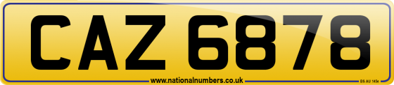 CAZ 6878