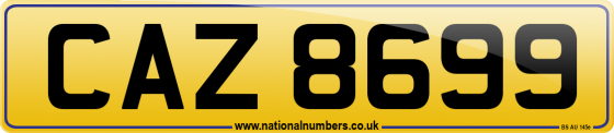 CAZ 8699