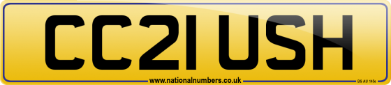 CC21 USH