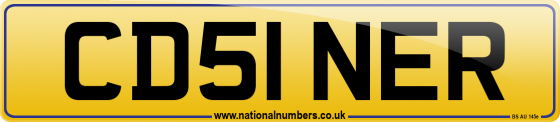 CD51 NER
