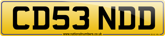CD53 NDD