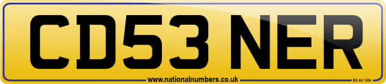 CD53 NER