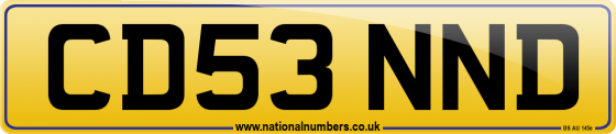 CD53 NND