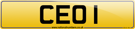CEO 1