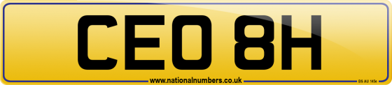 CEO 8H