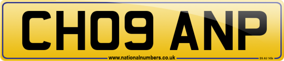 CH09 ANP