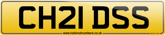 CH21 DSS