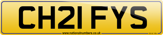 CH21 FYS