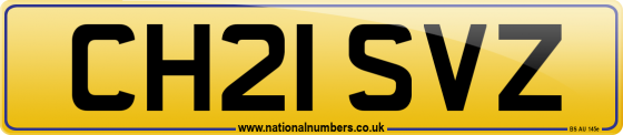 CH21 SVZ