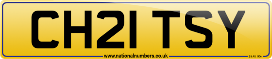 CH21 TSY