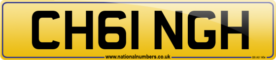 CH61 NGH