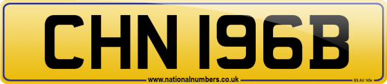 CHN 196B