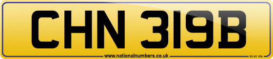 CHN 319B