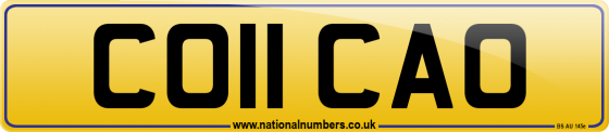 CO11 CAO