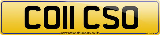 CO11 CSO
